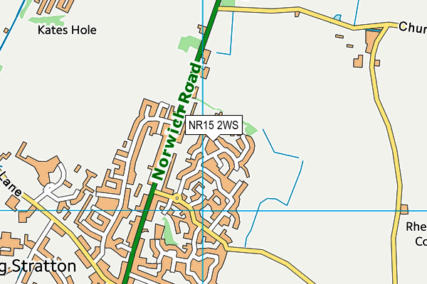 NR15 2WS map - OS VectorMap District (Ordnance Survey)