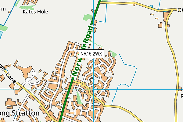 NR15 2WX map - OS VectorMap District (Ordnance Survey)