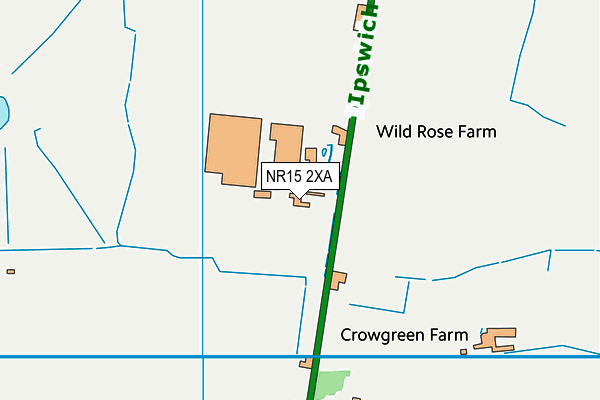 NR15 2XA map - OS VectorMap District (Ordnance Survey)