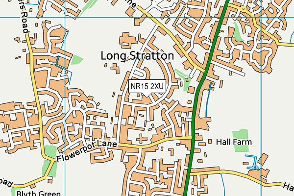 NR15 2XU map - OS VectorMap District (Ordnance Survey)