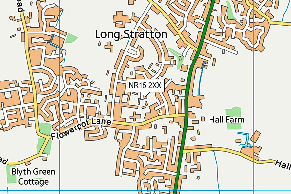 NR15 2XX map - OS VectorMap District (Ordnance Survey)