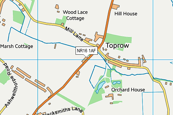 NR16 1AF map - OS VectorMap District (Ordnance Survey)