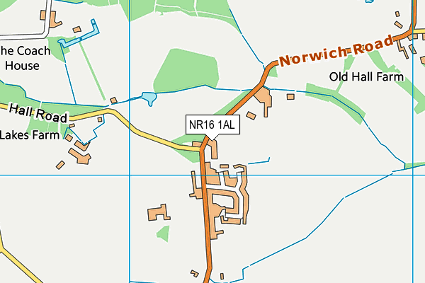 NR16 1AL map - OS VectorMap District (Ordnance Survey)