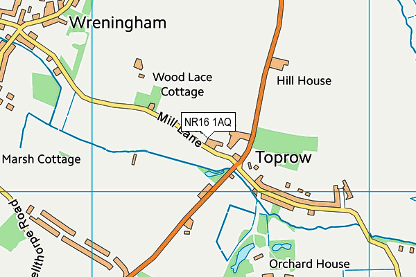 NR16 1AQ map - OS VectorMap District (Ordnance Survey)