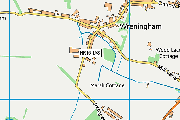 NR16 1AS map - OS VectorMap District (Ordnance Survey)