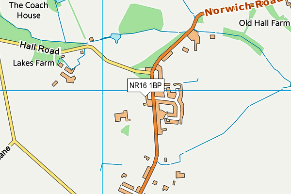 NR16 1BP map - OS VectorMap District (Ordnance Survey)