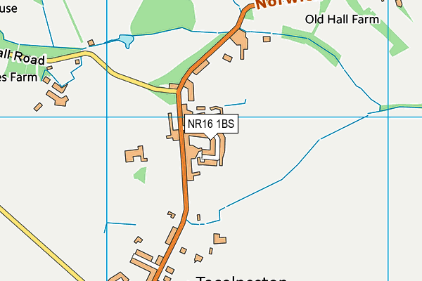 NR16 1BS map - OS VectorMap District (Ordnance Survey)