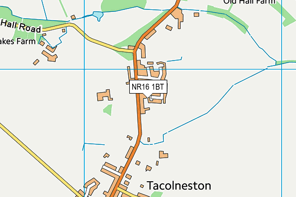 NR16 1BT map - OS VectorMap District (Ordnance Survey)