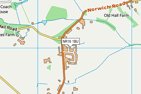 NR16 1BU map - OS VectorMap District (Ordnance Survey)