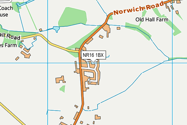 NR16 1BX map - OS VectorMap District (Ordnance Survey)