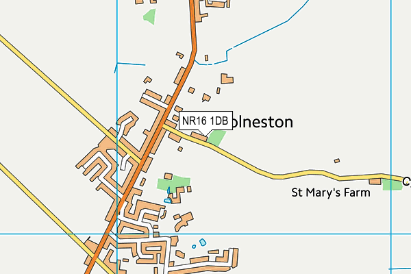 NR16 1DB map - OS VectorMap District (Ordnance Survey)