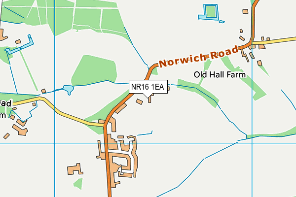 NR16 1EA map - OS VectorMap District (Ordnance Survey)