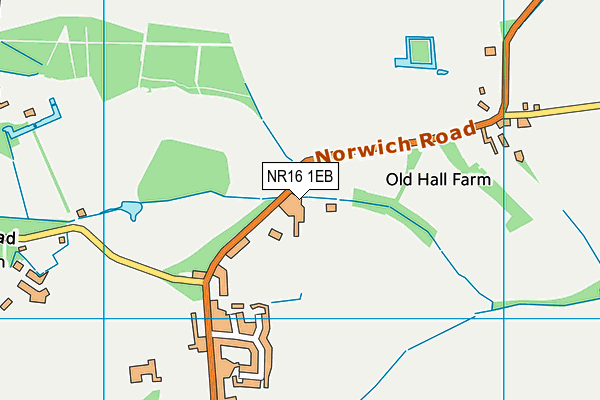 NR16 1EB map - OS VectorMap District (Ordnance Survey)