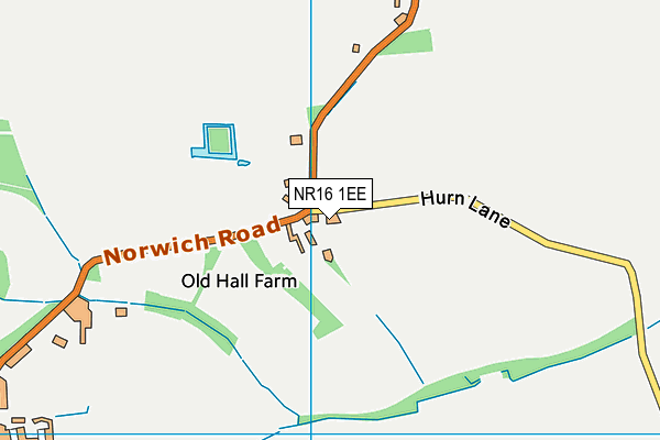 NR16 1EE map - OS VectorMap District (Ordnance Survey)