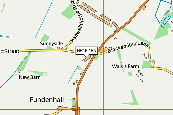 NR16 1EN map - OS VectorMap District (Ordnance Survey)