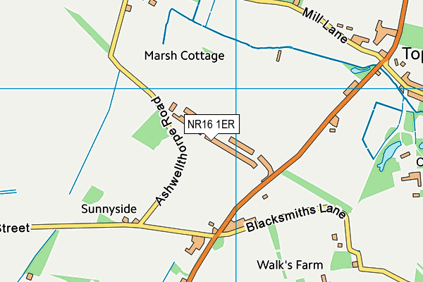 NR16 1ER map - OS VectorMap District (Ordnance Survey)