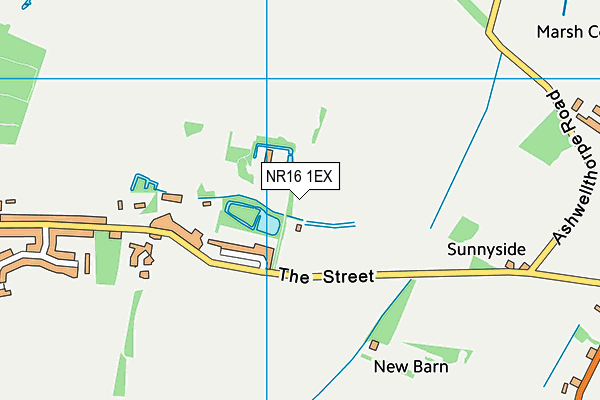 NR16 1EX map - OS VectorMap District (Ordnance Survey)