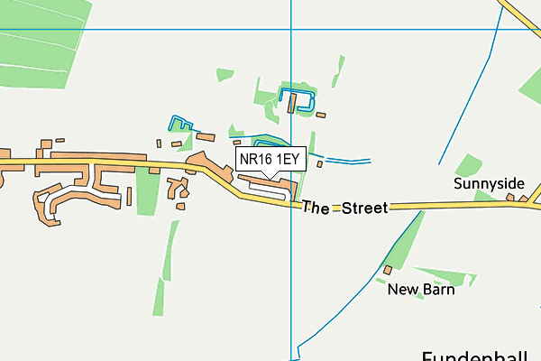 NR16 1EY map - OS VectorMap District (Ordnance Survey)