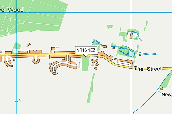 NR16 1EZ map - OS VectorMap District (Ordnance Survey)