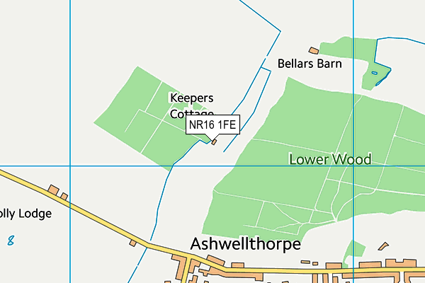 NR16 1FE map - OS VectorMap District (Ordnance Survey)