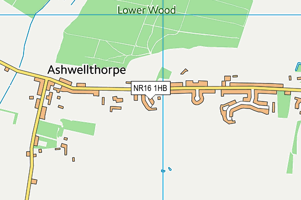 NR16 1HB map - OS VectorMap District (Ordnance Survey)