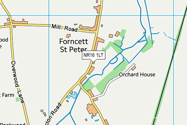 Forncett St Peter Church of England Voluntary Aided Primary School map (NR16 1LT) - OS VectorMap District (Ordnance Survey)