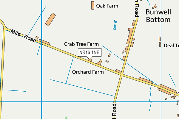 NR16 1NE map - OS VectorMap District (Ordnance Survey)