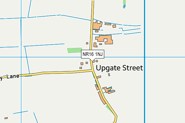 NR16 1NJ map - OS VectorMap District (Ordnance Survey)