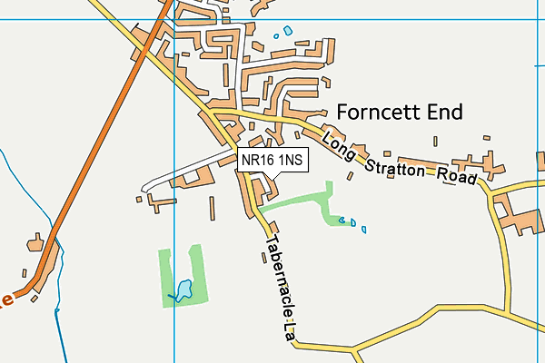 NR16 1NS map - OS VectorMap District (Ordnance Survey)