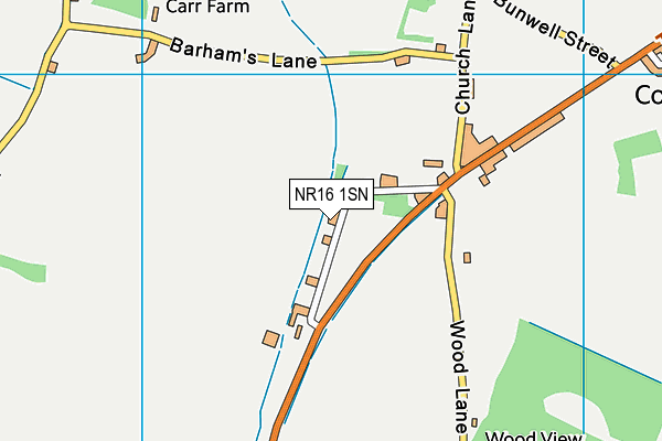 Bunwell Primary School map (NR16 1SN) - OS VectorMap District (Ordnance Survey)