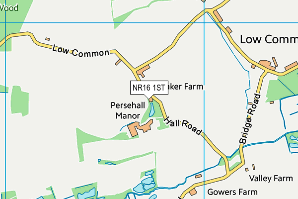 NR16 1ST map - OS VectorMap District (Ordnance Survey)