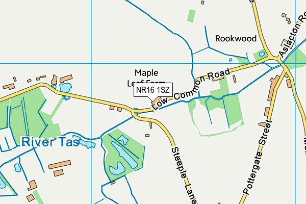 NR16 1SZ map - OS VectorMap District (Ordnance Survey)