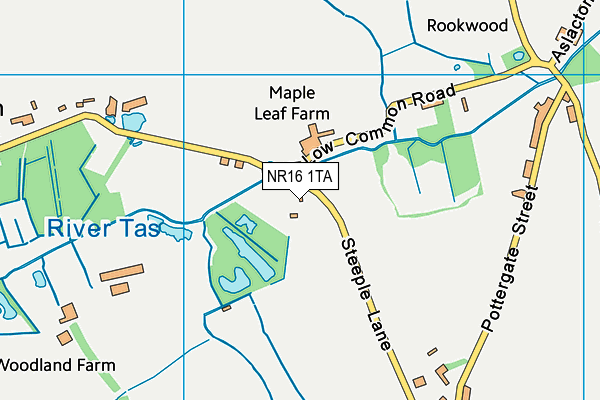 NR16 1TA map - OS VectorMap District (Ordnance Survey)