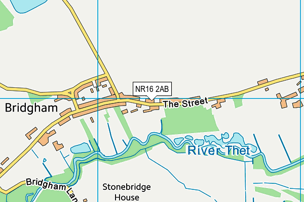 Bridgham Playing Field map (NR16 2AB) - OS VectorMap District (Ordnance Survey)