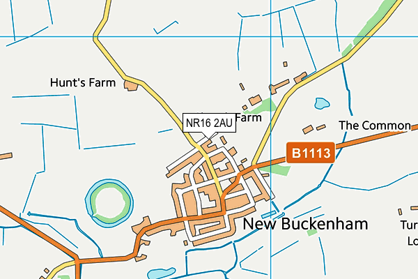 New Buckenham Village Hall map (NR16 2AU) - OS VectorMap District (Ordnance Survey)