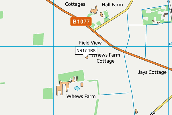 NR17 1BS map - OS VectorMap District (Ordnance Survey)