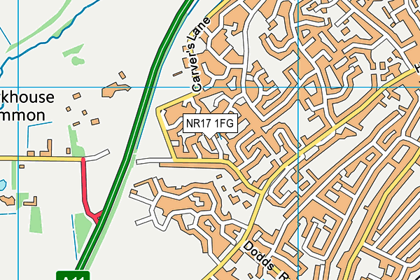 NR17 1FG map - OS VectorMap District (Ordnance Survey)