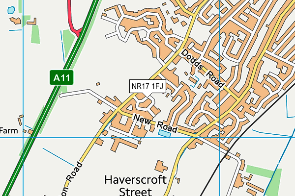 NR17 1FJ map - OS VectorMap District (Ordnance Survey)
