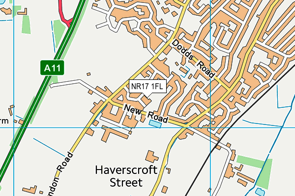 NR17 1FL map - OS VectorMap District (Ordnance Survey)