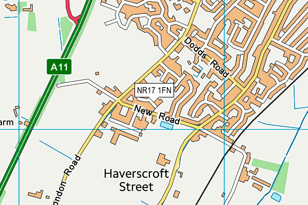 NR17 1FN map - OS VectorMap District (Ordnance Survey)