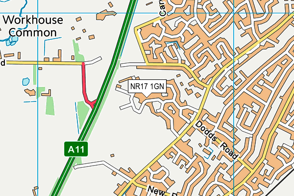 NR17 1GN map - OS VectorMap District (Ordnance Survey)