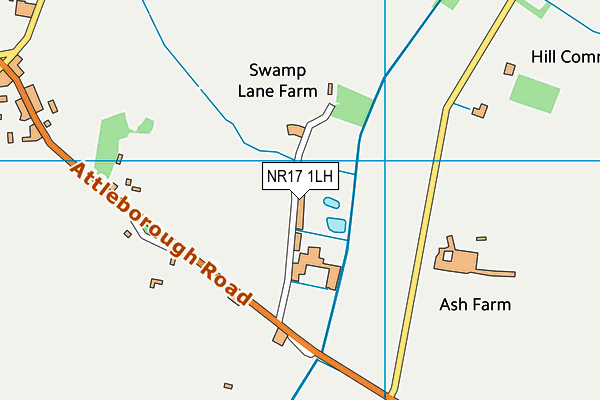 NR17 1LH map - OS VectorMap District (Ordnance Survey)
