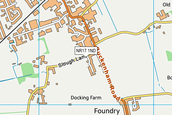 NR17 1ND map - OS VectorMap District (Ordnance Survey)