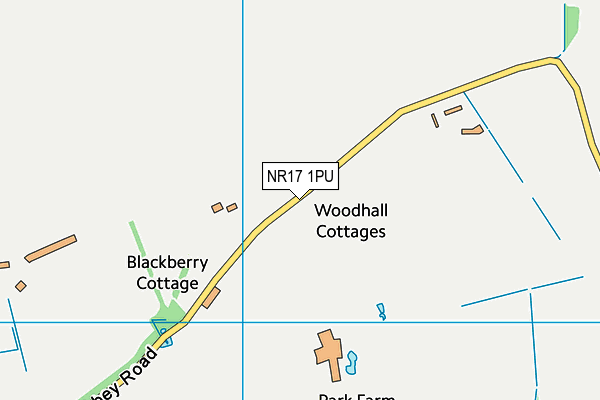 NR17 1PU map - OS VectorMap District (Ordnance Survey)