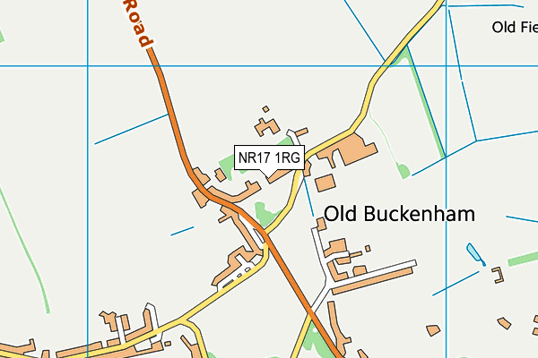 NR17 1RG map - OS VectorMap District (Ordnance Survey)