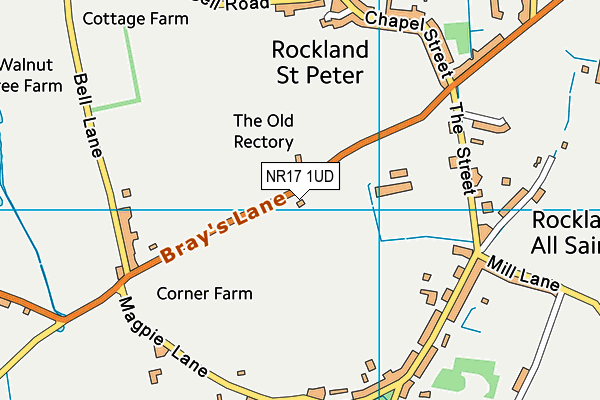 NR17 1UD map - OS VectorMap District (Ordnance Survey)