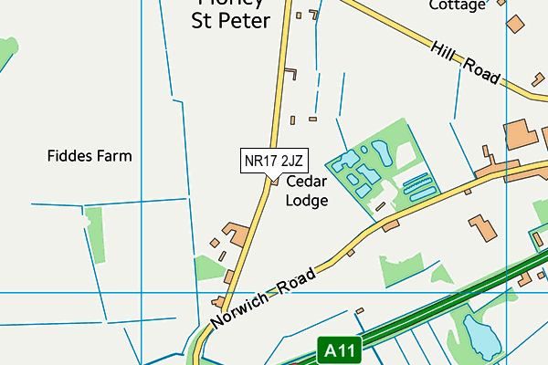 NR17 2JZ map - OS VectorMap District (Ordnance Survey)