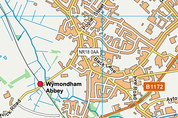 NR18 0AA map - OS VectorMap District (Ordnance Survey)