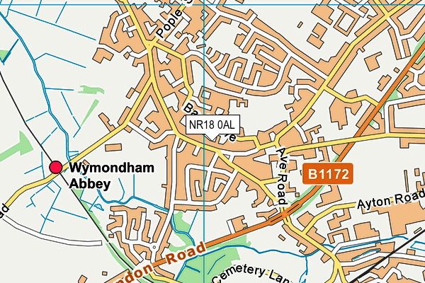 NR18 0AL map - OS VectorMap District (Ordnance Survey)