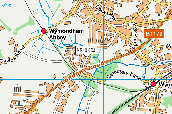 NR18 0BJ map - OS VectorMap District (Ordnance Survey)